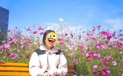 最近最新高清中文字幕免费大全